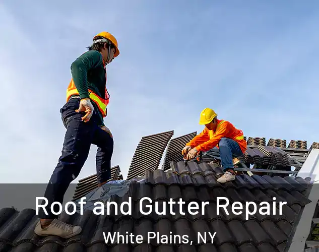  Roof and Gutter Repair White Plains, NY