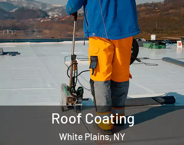  Roof Coating White Plains, NY