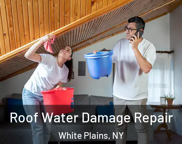  Roof Water Damage Repair White Plains, NY